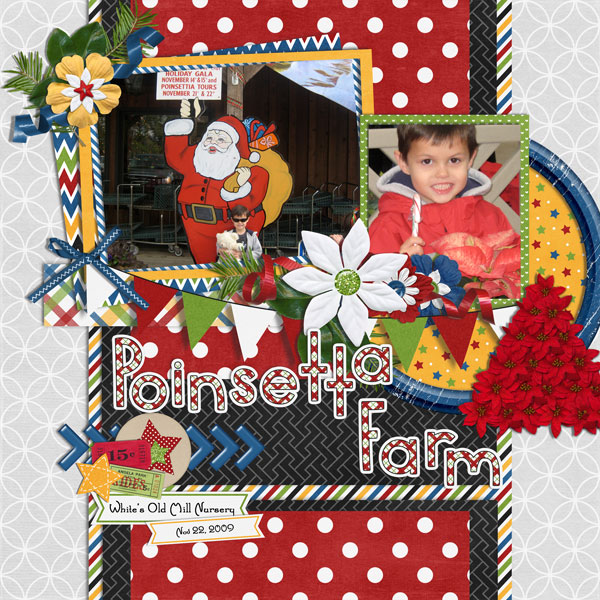 poinsetta farm