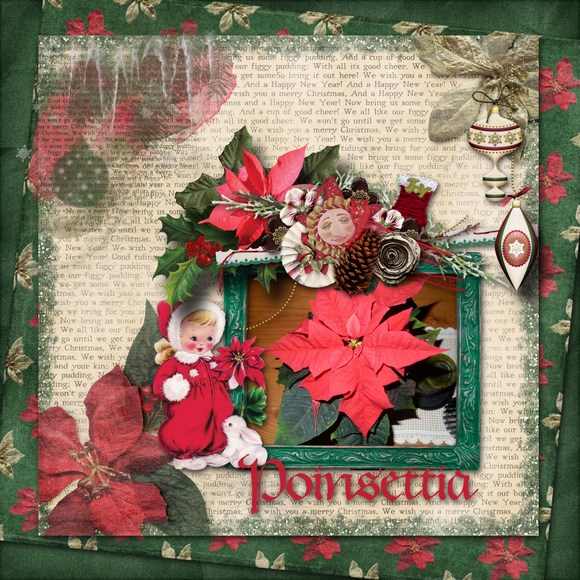 Poinsettia