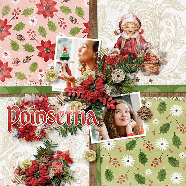 Poinsettia