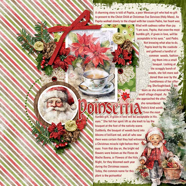 POINSETTIA