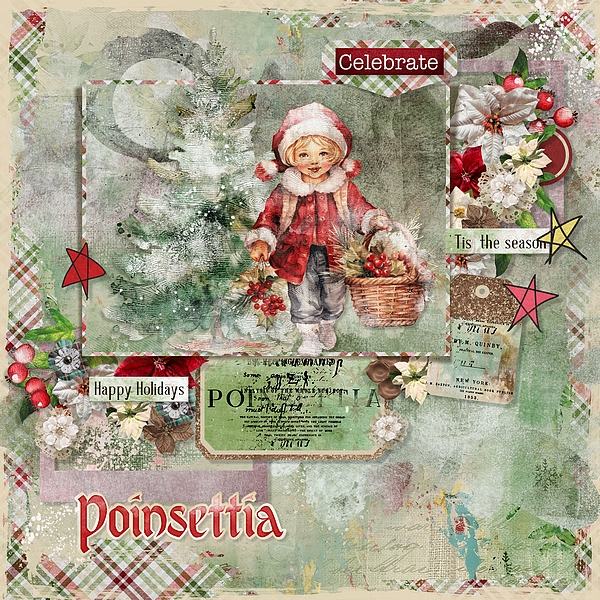 Poinsettia