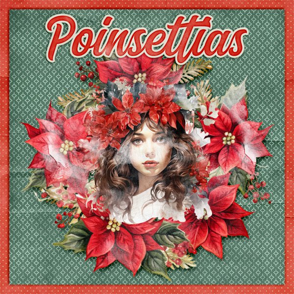 Poinsettias.jpg