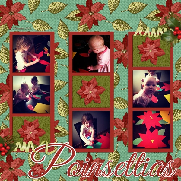 Poinsettia's