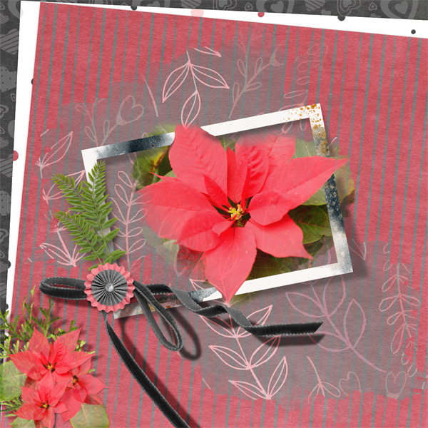 Pointsettia