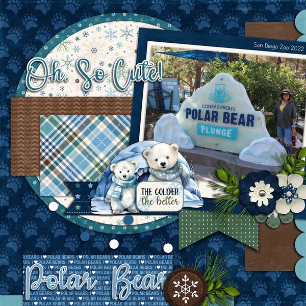 Polar Bear Exhibit