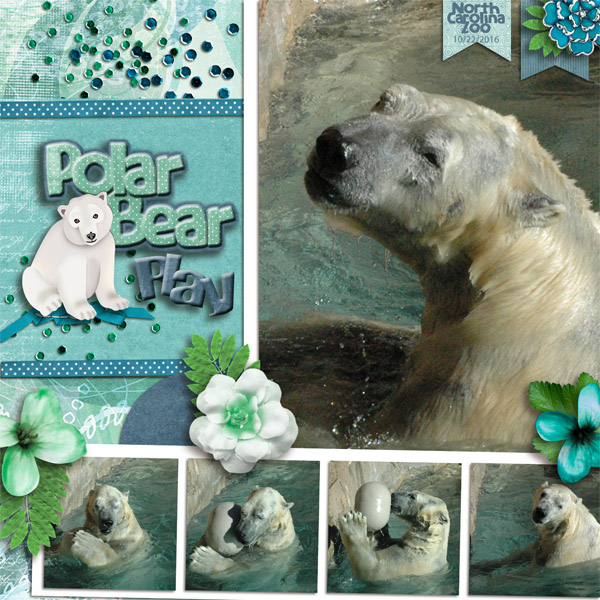 Polar Bear Play