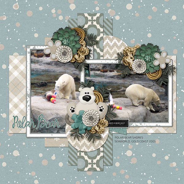 Polar Bear Shores 1