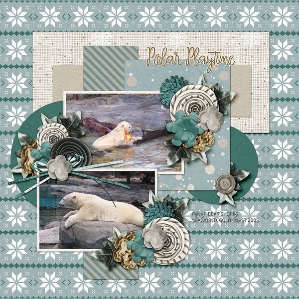 Polar Bear Shores 2