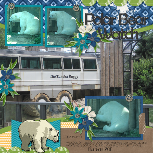 Polar Bear Watch