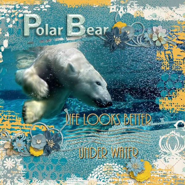 Polar Bear