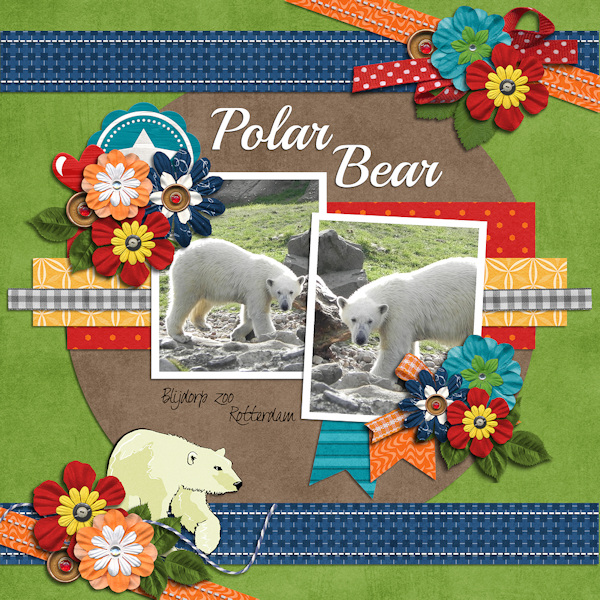 Polar Bear