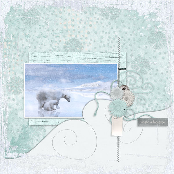 Polar Bear