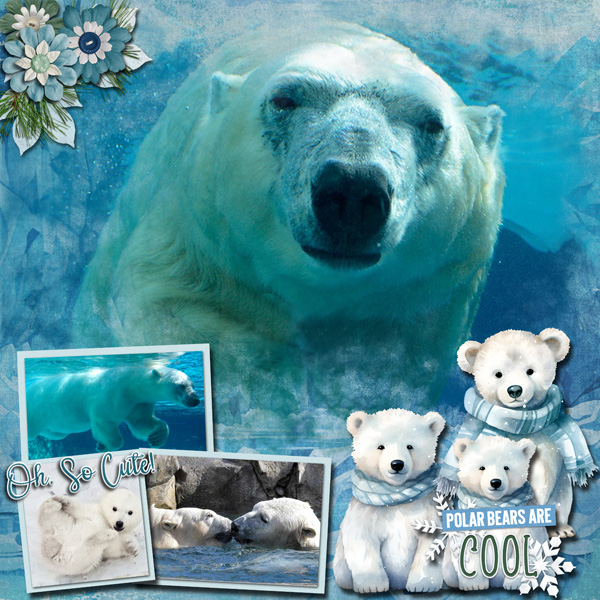 Polar Bears are so Cool