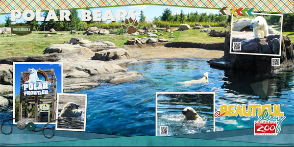 Polar Bears at the Columbus Zoo