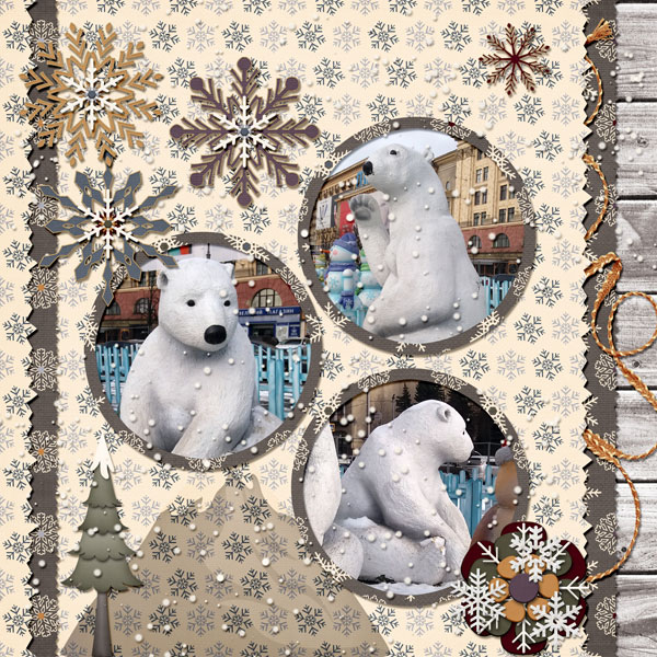 Polar Bears