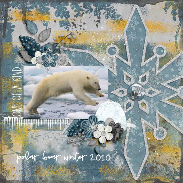 Polar Freeze