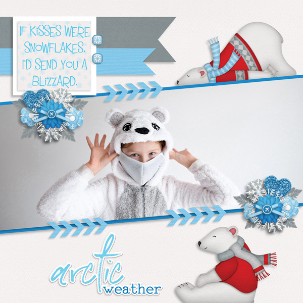 Polar Freeze