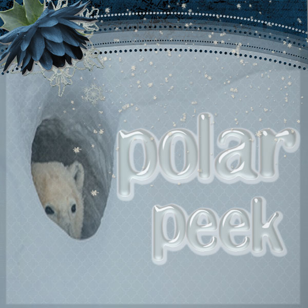 POLAR PEEK