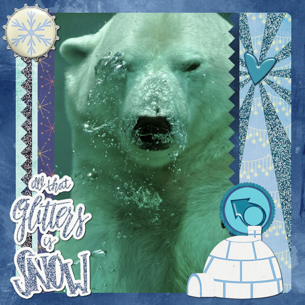 Polar snow