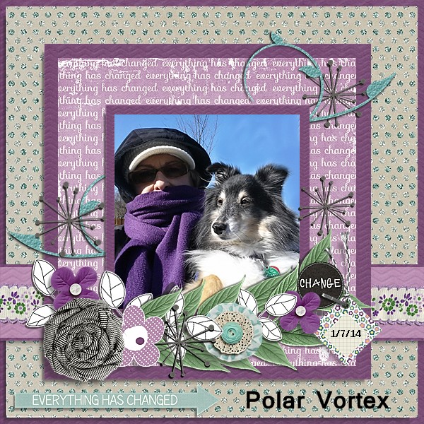Polar Vortex Jan 7, 2014