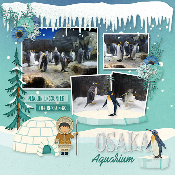 Polar Wonderland_1