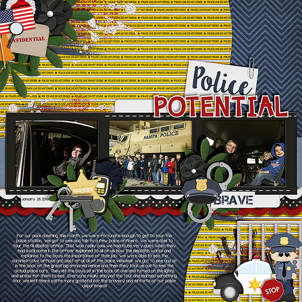 Police Potential