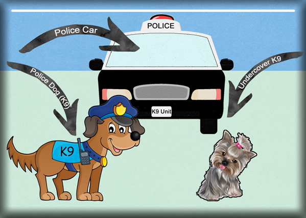 Police Units