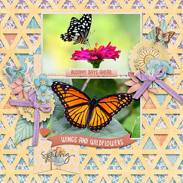 Pollen-Party-Layout-web.jpg