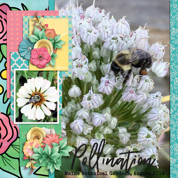 Pollination
