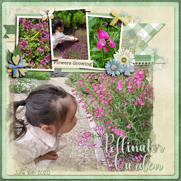 Pollinator Garden