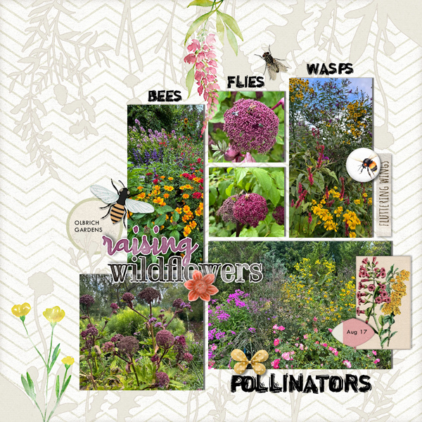 Pollinators