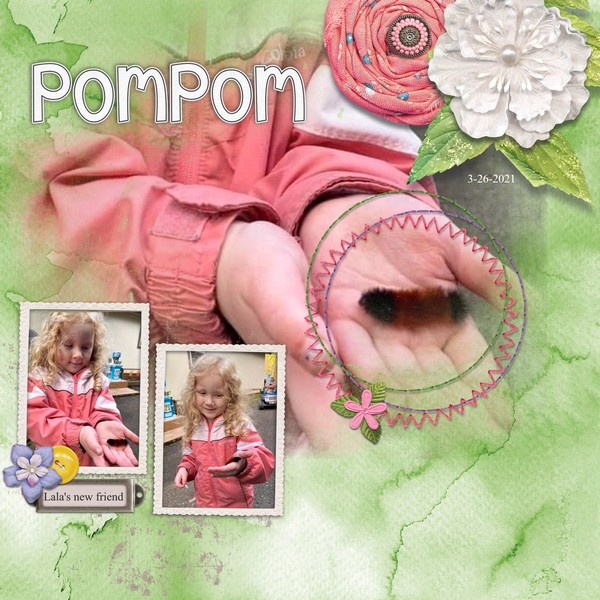 PomPom