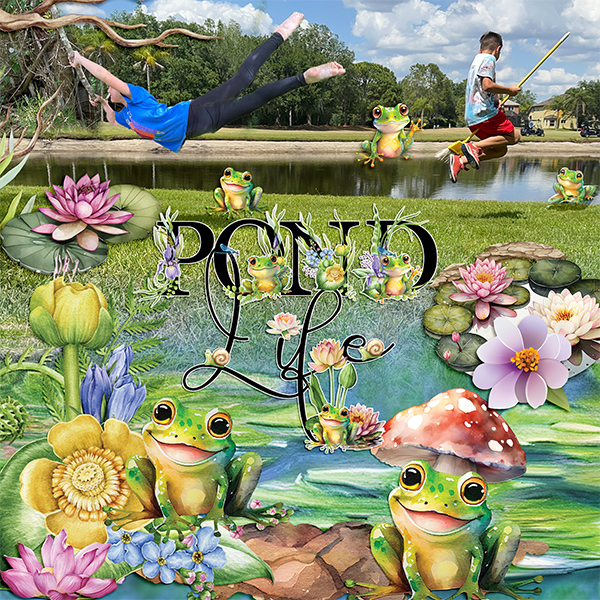 Pond Life