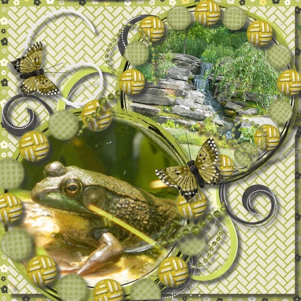 Pond Life