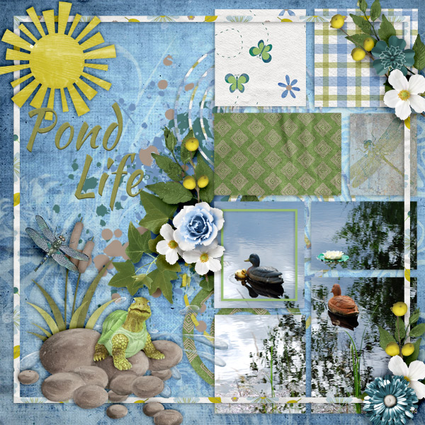 Pond-life1