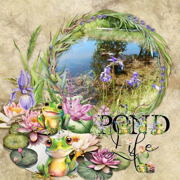 Pond-life2