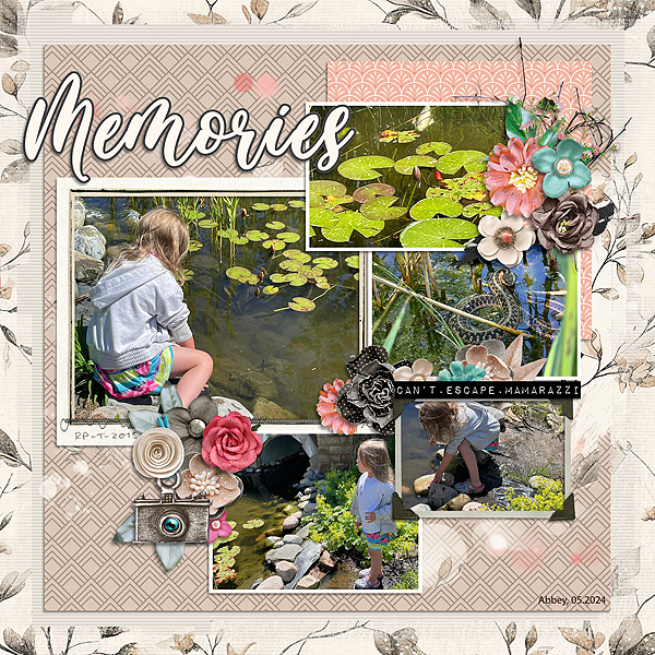 Pond Memories