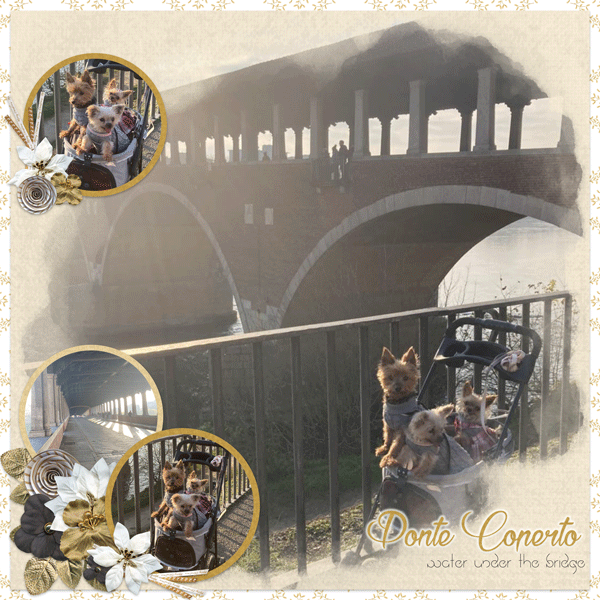 Ponte Coperto a Pavia