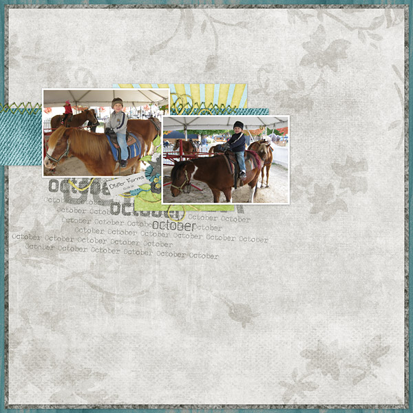 Pony Rides