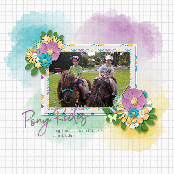 Pony Rides