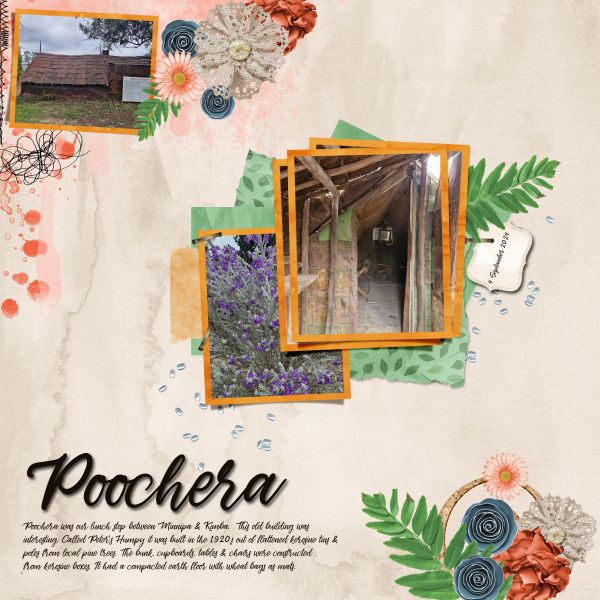 Poochera