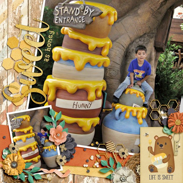 pooh ride