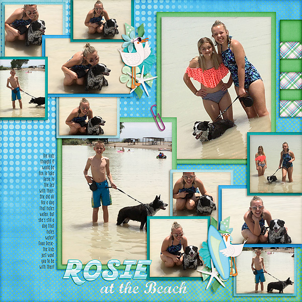 PoorRosie
