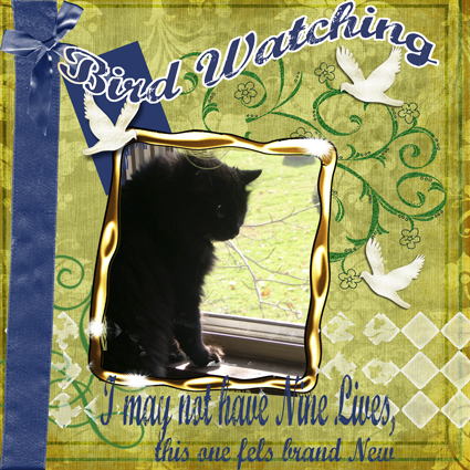 pop-culture-Music_Bird watching