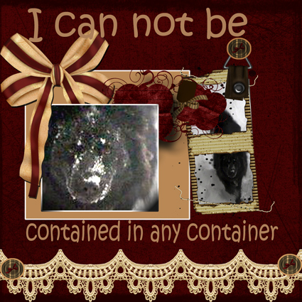 pop-culture2- I cannot be