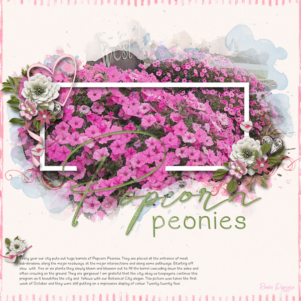 Popcorn Peonies
