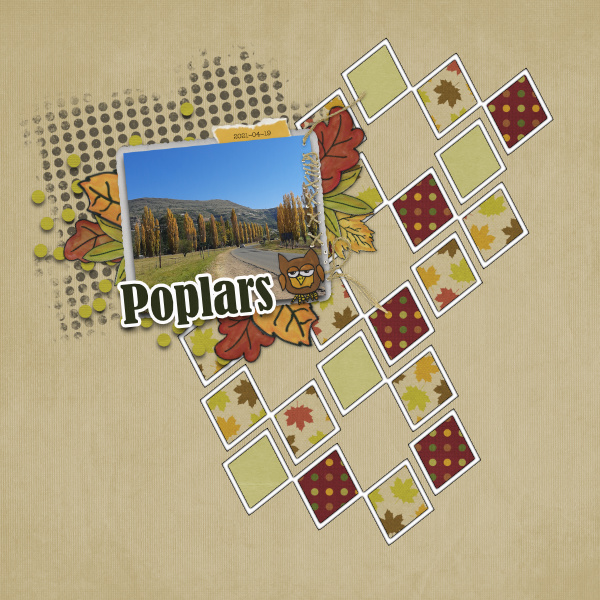 Poplars