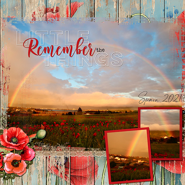 Poppie Fields Under the Rainbow