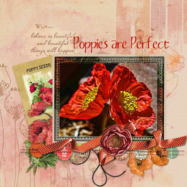 Poppies are Perfect