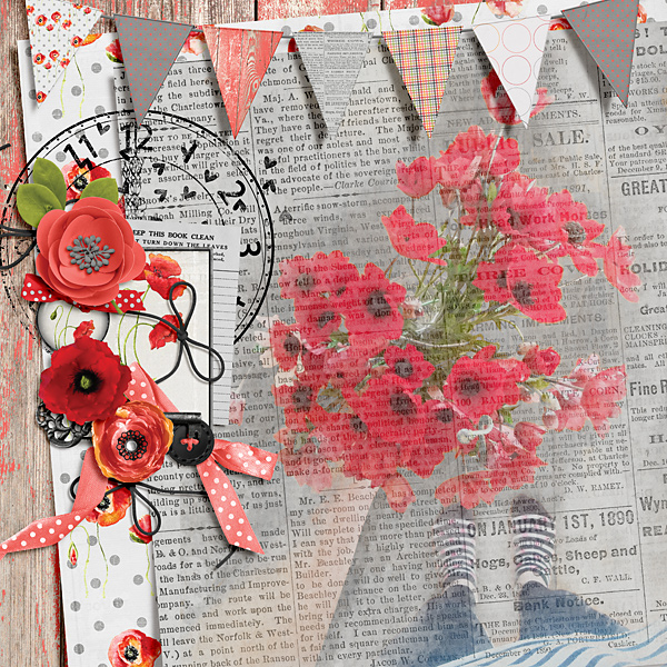Poppies